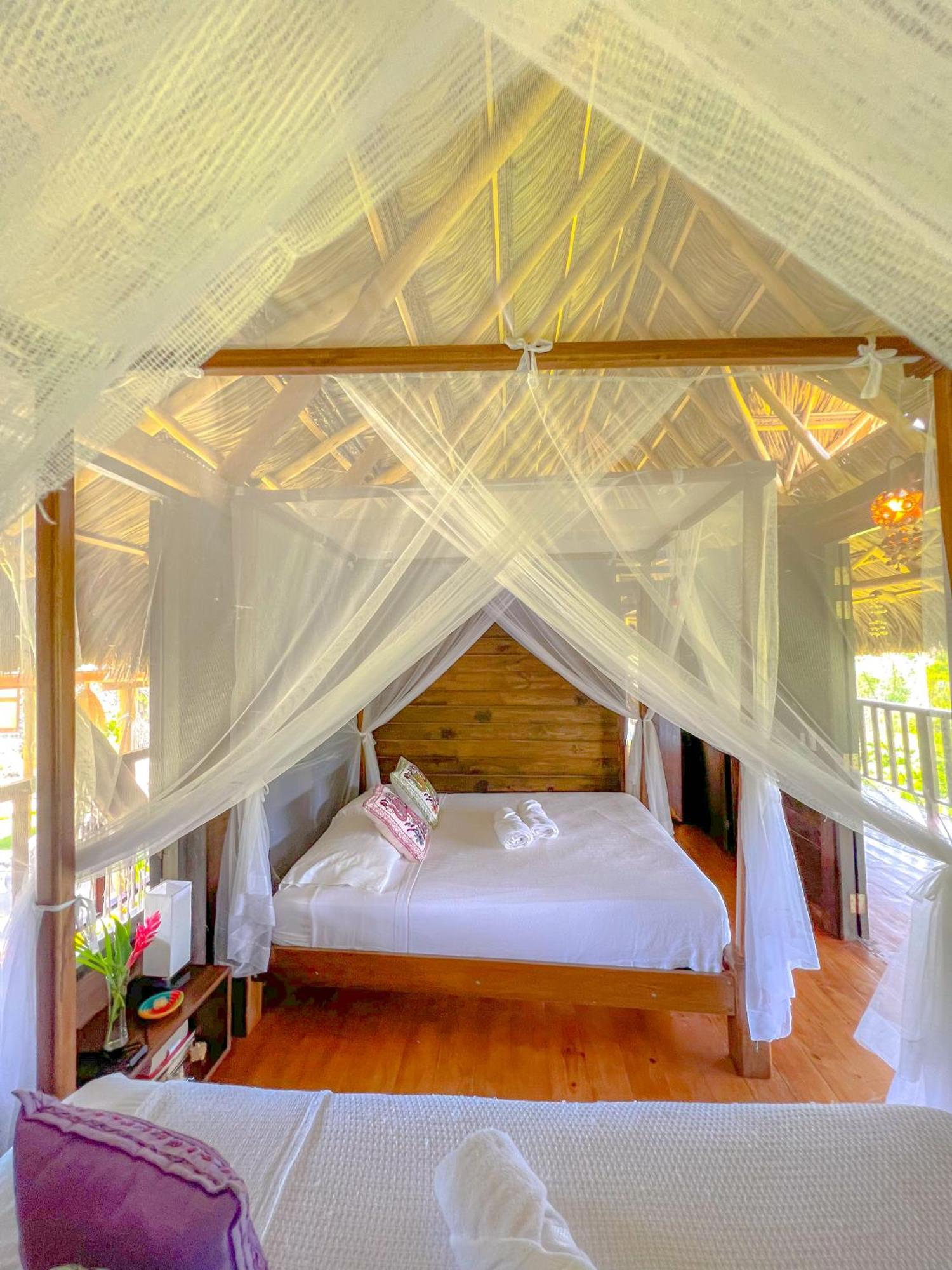 Villa Tayrona الزينو المظهر الخارجي الصورة